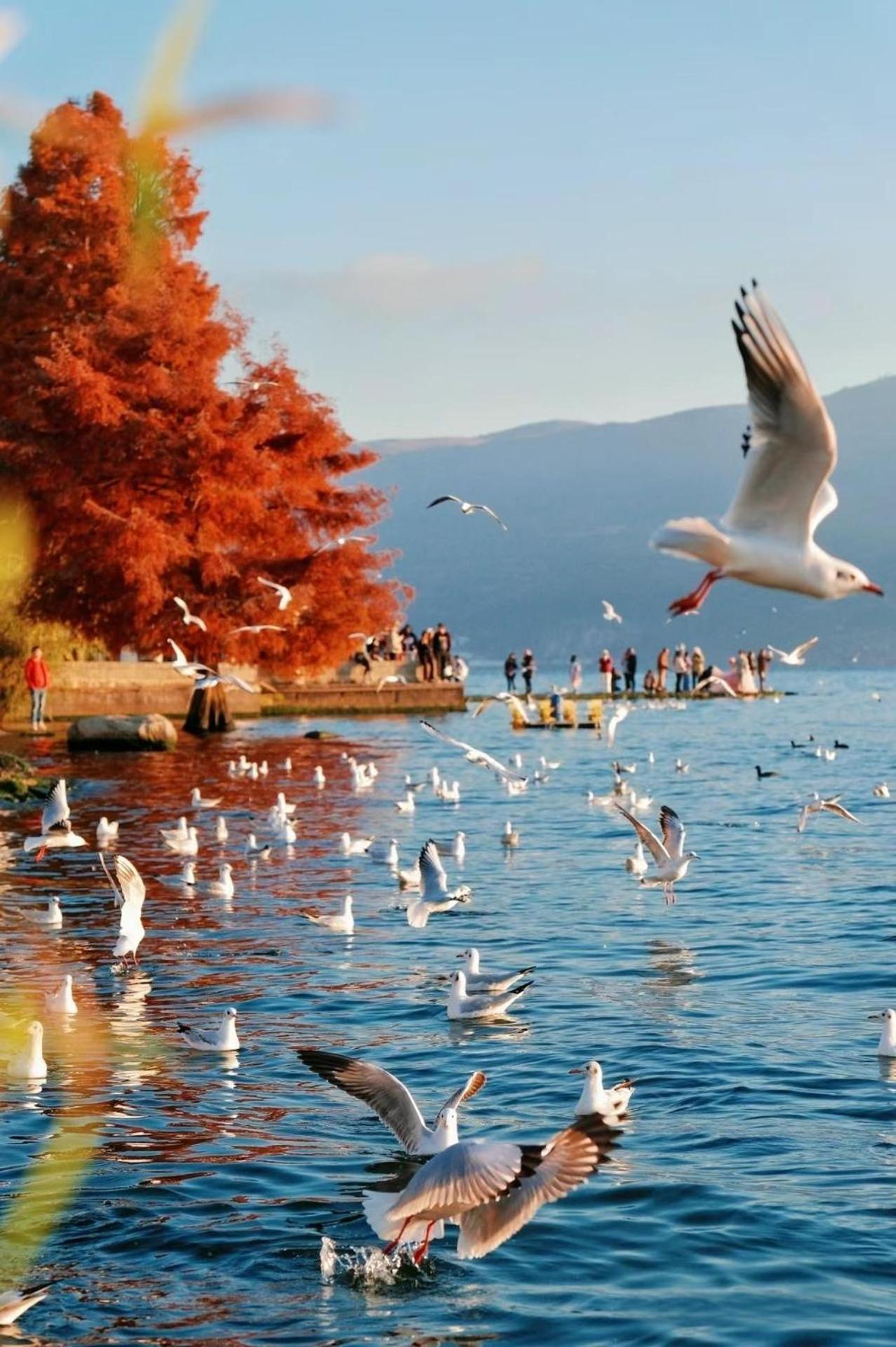 Dali Nest Secret Garden Lake View Inn Dali (Yunnan) Exterior foto