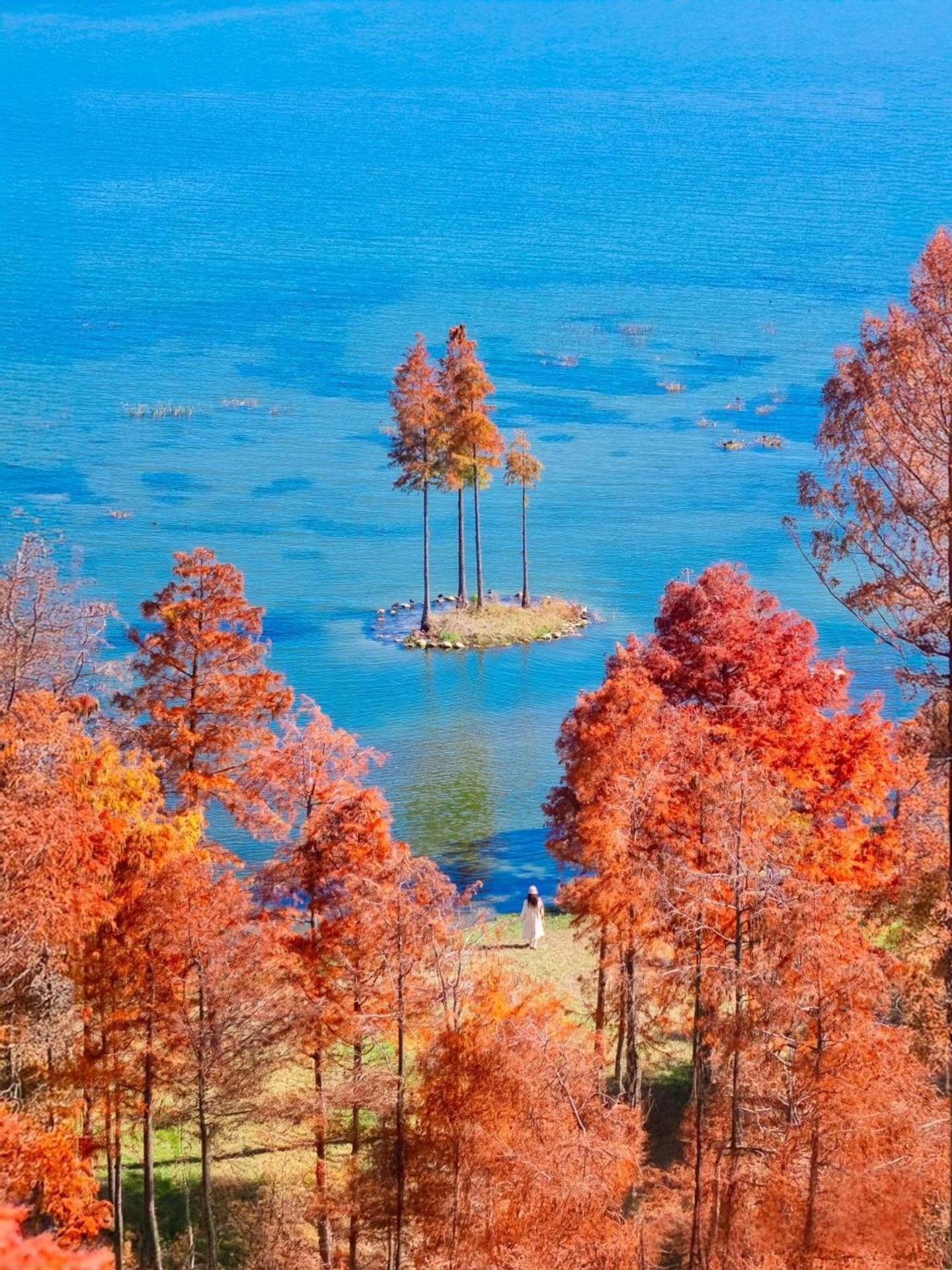Dali Nest Secret Garden Lake View Inn Dali (Yunnan) Exterior foto